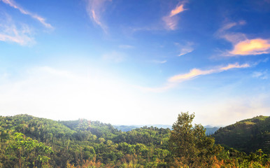 Wall Mural - beautiful natural landscape in the summer time