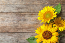 Yellow Sunflowers On Wooden Background, Top View
