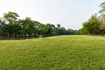 Beautiful landscape in park with green grass field at morning.