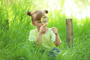 Wall Mural - little girl exploring plant outdoors. summer camp