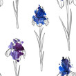 vector seamless pattern with flowers of iris