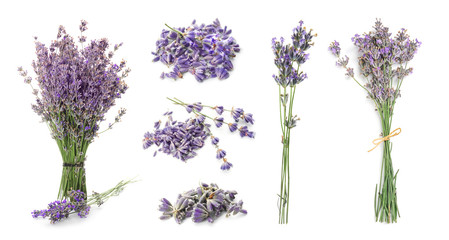 Set with aromatic fresh lavender on white background