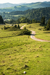 Sticker - Dirt track road in Pieniny mountains, Poland