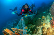 SCUBA divers attempting to remove a huge ghost fishing net tangled over a large area of a tropical coral reef