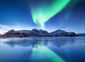 Wall Mural - aurora borealis on the lofoten islands, norway. green northern lights above mountains. night sky wit