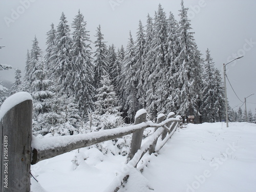 Paissage De Montagne Foret De Sapins Avec Cloture Sous La Neige Stock Photo Adobe Stock