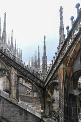 Poster - Milan Cathedral - Italy