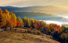 Rural Field And Orchard In Autumn At Sunrise. Mountainous Countryside With Fog In Distant Wally