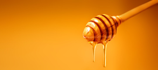 honey dripping from wooden honey dipper over yellow background. sweet bee product for your design wi