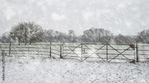 Winter Landscape With Snow Falling And Covering Everything In