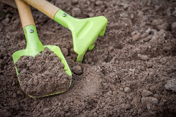 Garden tools shovel and rake on the ground with a plant sprout, flat lay top view with copy space, concept of horticulture ecology hobby