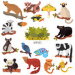 Madagascar unique animals color flat icons set