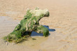 © Ralf - National Nature Reserve Platier Oye