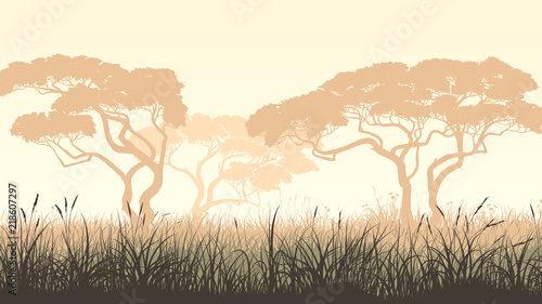 Dekoracja na wymiar  pozioma-ilustracja-trawa-laka-i-akacja-afrykanska