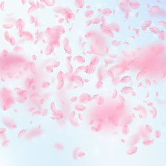 Sakura petals falling down. Romantic pink flowers gradient. Flying petals on blue sky square backgro