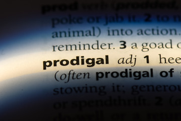 Wall Mural - prodigal