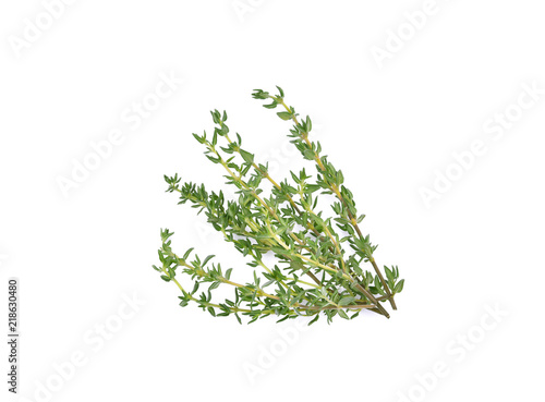 Fotografía Thyme sprigs isolated on a white background