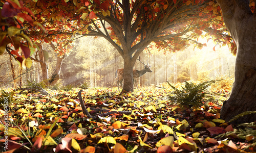Plakat Jeleń w lesie jesienią
