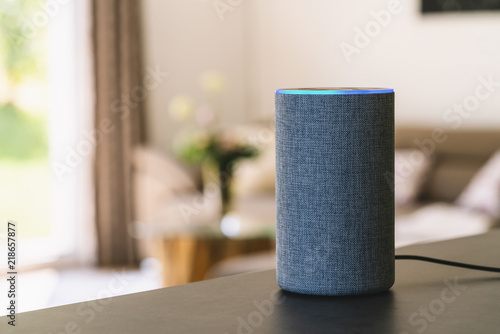 Fotomural voice controlled smart speaker