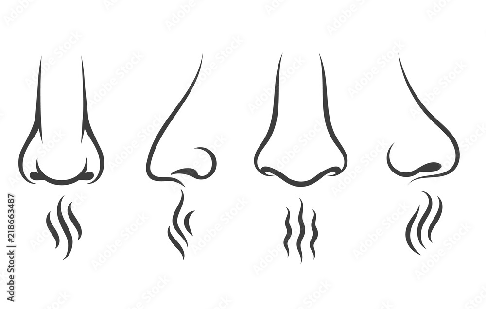 Nose smell icons. Human smelling and breathe nose senses isolated on white background - obrazy, fototapety, plakaty 