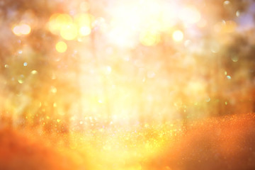 blurred abstract photo of light burst among trees and glitter golden bokeh lights.