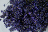Fototapeta Lawenda - lavender bouquets on white background. lavender flowers. lavender. summer. lavender close-up