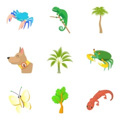 Wall Mural - Herbivore icons set. Cartoon set of 9 herbivore vector icons for web isolated on white background