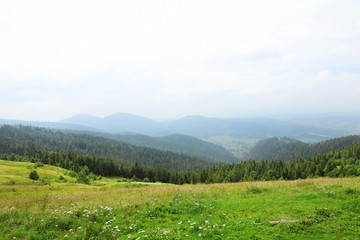 picturesque landscape with mountain forest and meadow