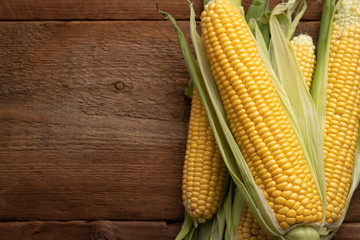 Wall Mural - Fresh corn on cobs on rustic wooden table, closeup. Top view with copy space