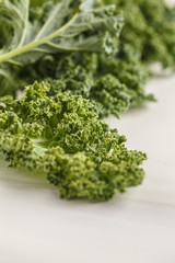 Wall Mural - Fresh green leaves of kale on white background.