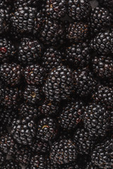 Wall Mural - Fresh raw blackberry background.