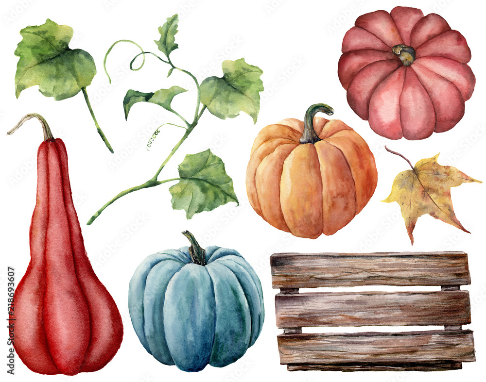 Watercolor set with pumpkins, wood box. Hand painted red, blue and ...