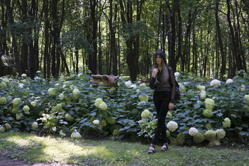 Wall Mural - Girl wears hood and backpack in park near flowers of hortensia