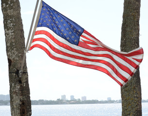 flag in the wind