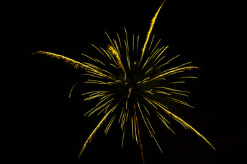 yellow firework exploding at night