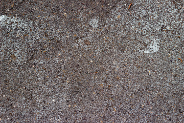 Wall Mural - Grey Asphalt with cracks