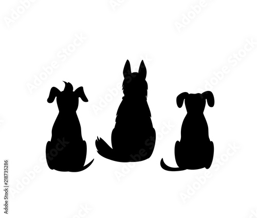 Fotografía different mixed breed dogs backside view silhouettes isolated vector graphic