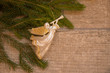 Christmas  trumpet angel toy on Christmas tree branch on wood background