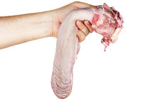 Hand Hold Raw Pork Tongue