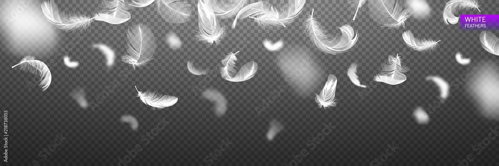 Falling twirled realistic feathers isolated on a transparent background. Easy style, can be used in flyers, banners, web. Light cute feathers design. Elements for design. Vector illustration. - obrazy, fototapety, plakaty 
