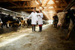 © pressmaster - Two colleagues in whitecoats standing between two stables with dairy cows and discussing their characteristics
