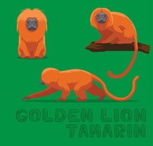 Golden Lion Tamarin Cartoon Vector Illustration