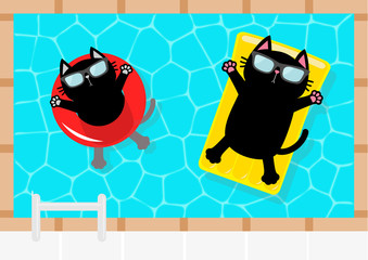 Wall Mural - swimming pool. black cat floating on yellow pool float water mattress and red circle. top air view. 