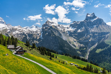 Wall Mural - Switzerland, Engelberg Alps panoramic view 