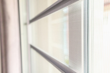 Wall Mural - mosquito net wire screen on house window protection against insect