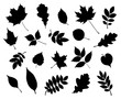 © Gizele - Vector set of decorative autumn leaf silhouettes.