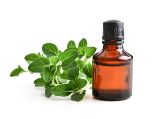 Essential oil of oregano