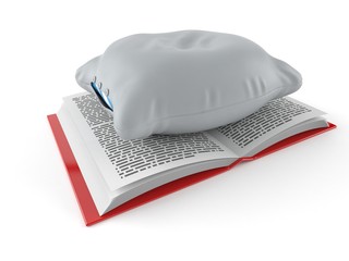 Poster - Pillow on open book