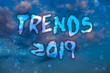 Word writing text Trends 2019. Business concept for Upcoming year prevailing tendency Widely Discussed Online Cloudy bright blue sky sunset landscape relaxing time inspirational view.