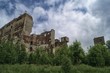 © Jarek Witkowski - Miejscowość Walim na Śląsku, ruiny fabryki lnu zarośnięte drzewami, upadek starego przemysłu